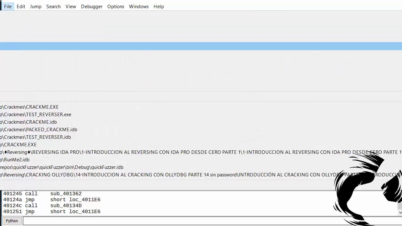 Scripting With Idapython Introduction 0x02 Youtube