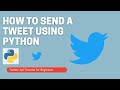 How To Send/Post a Tweet/Get Home Feed Tweets Using Python - Twitter API Tutorial