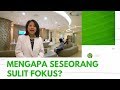 Mengapa Seseorang Sulit Fokus? | Sulit Fokus Part 1