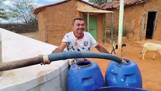 a simplicidade nordestina vivida no sítio mamoeiro verdejante Pernambuco.