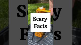 scary Facts That Will TERRIFY You... #facts #shorts #scary