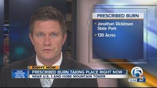 Prescribed burn planned in Jonathan Dickinson State Park