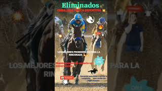 ELIMINADOS DE LUJO PARA ESTE DOMINGO 01 DE DICIEMBRE 🔥🐴 LA RINCONADA NO DEJES DE ESCUCHAR...