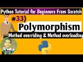 #33 What is Polymorphism in Python Programming |Python Tutorial for Beginners [From Scratch]|Python
