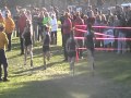 Laura Papili Finishing in the Group 3 Championships - Mendham Cross Country