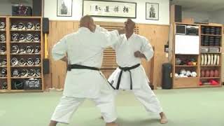 Applications of Kata in Okinawan Karate