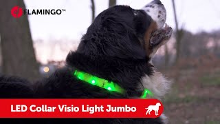 LED Collar Visio Light Jumbo - Flamingo Pet Products