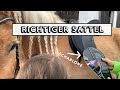 Der richtige Sattel 👍🐴 | Wintec 500 Schablone richtig messen und einstellen