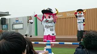 ｵﾘｯｸｽ・ﾊﾞﾌｧﾛｰｽﾞ ﾏｽｺｯﾄｼｮｰ@ららぽーと門真 屋上 空の広場　2025/3/2㈰13:00-回