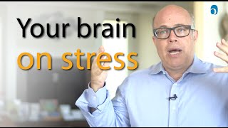 How Your Brain Deals with Rising Stress: Emotional Intelligence Needed!
