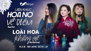Như Quỳnh, Hương Lan, Họa Mi - LK Hoa Nở Về Đêm & Loài Hoa Không Vỡ | Live Người Tình & Quê Hương