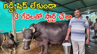 రోజు 90 లీటర్లు Gopalakrishna dairy farm @MalleshAdla