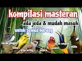 Masteran Tembakan Kasar Cepat Masuk || Full Isian Mewah Materi Burung Lomba