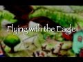 Flying with the Eagle