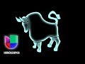 Tauro – Semana del 15 de enero al 21 de enero