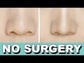 How to Make a BIG NOSE Look SMALLER NO SURGERY How to Make a BIG NOSE Look SMALLER NO SURGERY
