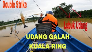 Memancing Udang Galah‼️Lubuk Kuala Ring‼️Diasak Betubi tubi Sepit Kuning⁉️