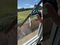 Window cleaning sunny mornings @ the golf club #squeegee #glass #cleaning #cleanwindows #windowcare