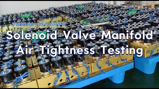 2WB Solenoid Valve Manifold Air Tightness Testing