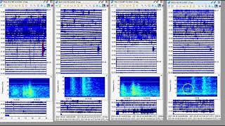 Yellowstone Earthquake Swarm, 36 Quakes in Last Day, La Palma 3.3 Quake