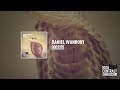 Daniel Wanrooy - Cobra [High Contrast Recordings]