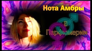 ТОП10 Амбровый Парфюм l Нота Амбры l Люкс Ниша Бюджет l Femme Homme