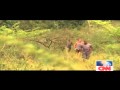 Inside Africa - Special Coverage on CNN