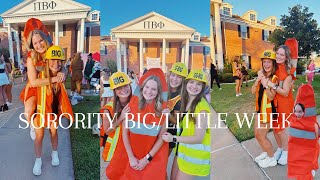 BIG LITTLE WEEK | TEXAS A&M UNIVERSITY