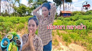 สาวลาว พาเข้าป่า กินข้าวป่ากัน 2 คน