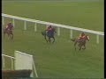 1991 Fulke Walwyn Kim Muir Challenge Cup Handicap Chase