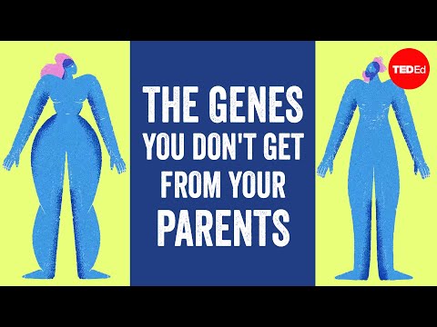 How long does mitochondrial DNA last?