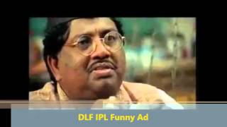DLF IPL Funny