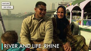 River and Life: Rhine