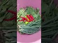 Alasan mengapa suka menanam sayuran  #shortsvideo #sayur #gardening #viralshort #vegetables