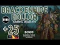 Brackenhide Hollow +25 - Tyrannical/Volcanic/Sanguine- Elemental Shaman POV