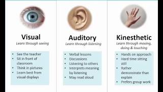 Learning Styles (Preferences) VAK