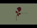 Ryan M Brewer - Relative Roses (Music Video)