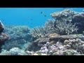 Learning the Great Barrier Reef