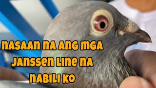 NASAAN NA ANG MGA JANSSEN LINE NA NABILI KO |Reggie Cruz Loft & Aviary #reggiecruzloftandaviary