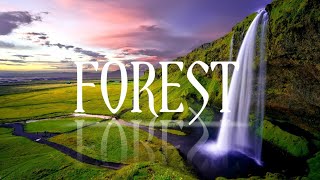 Forest 4k Ultra HD Relaxation music Deep | Drone Beautiful Nature