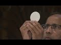 Wednesday Mass - July 2, 2025