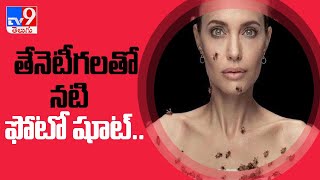 Angelina Jolie posed with bees to raise awareness on World Bee Day - TV9