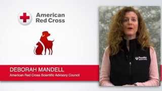 Prepping Pets for Fire Emergencies (SHORT VERSION)