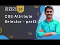 CSS Attribute selector Part 3 - CSS Tutorial 24 🚀