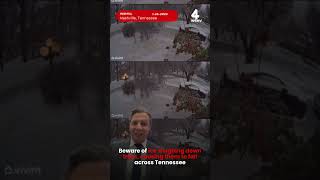 Beware of ice weighing down trees, causing them to fall across Tennessee