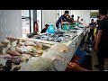 SUASANA PASAR BARU MENJUAL IKAN SEGAR PEKAN SEMPORNA