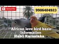 AFRICAN LOVE BIRDS BASIC INFORMATION | ALLWYN BIRDS AVIARY | HUBLI, KARNATAKA |9986484923 |