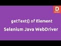 Selenium Java getText( ) retrieve elements Text