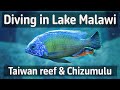 Lake Malawi Taiwan reef Chizumulu