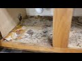 DIY Landlord: How To Repair Kitchen Cabinet Floor Under Sink After a Water Leak Quick and Easy.